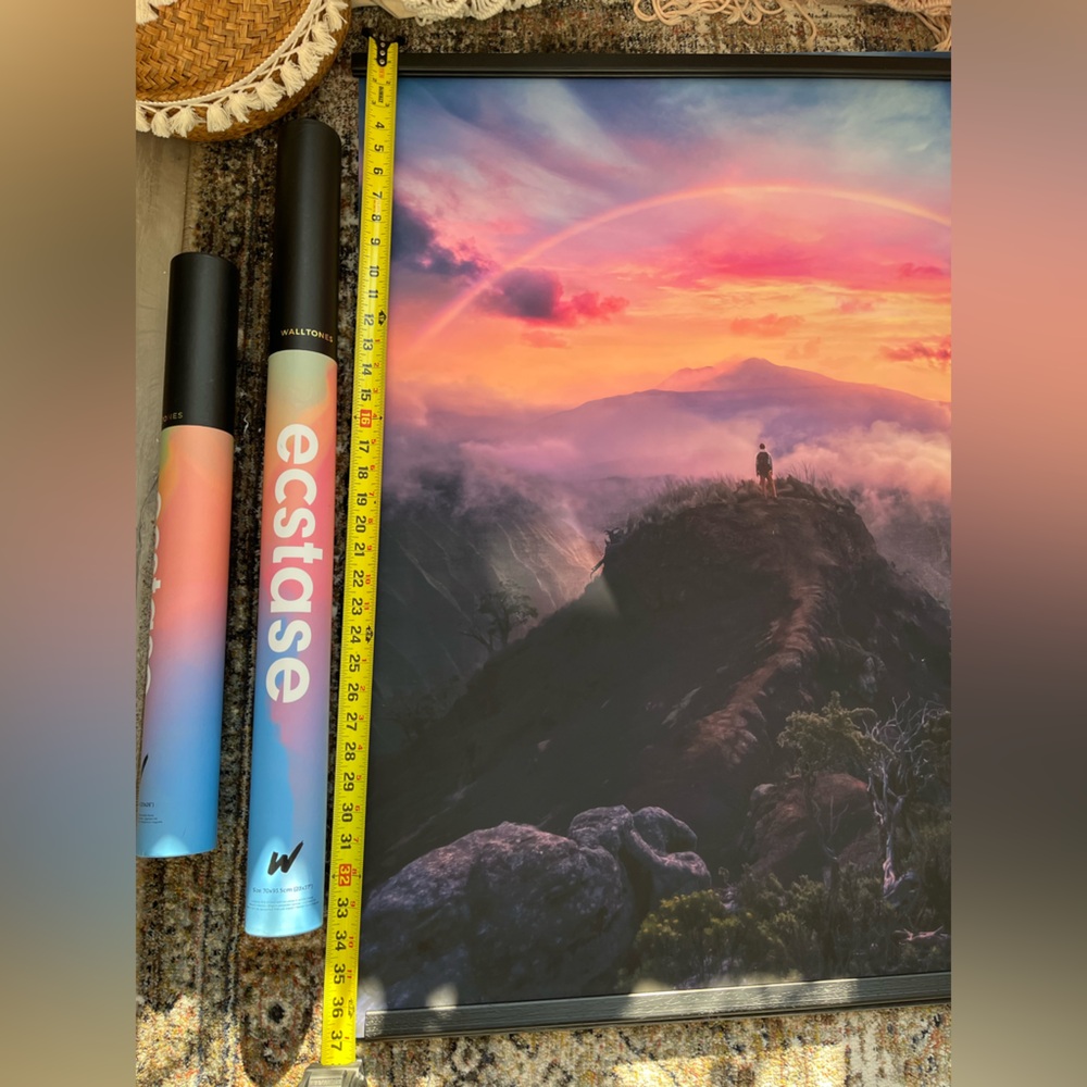 COPY - Ecstase “On Top of the World” Walltone Canvas Print - with Frame - Picture 2 of 8